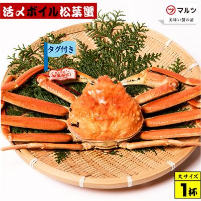ふるさと納税 米子市 活〆ボイル松葉蟹(大) 800g以上×1杯 [タグ付き]