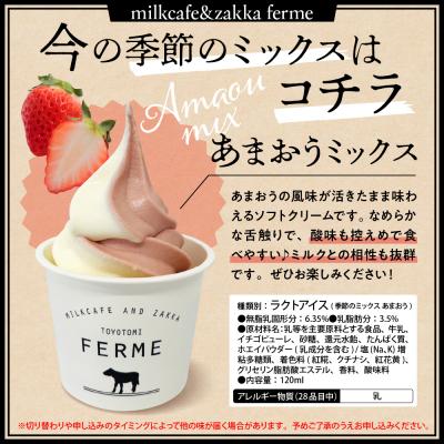 ふるさと納税 豊富町 とよとみ牛乳ソフトクリーム【ミルク/ショコラミックス/季節のミックス 各120ml 計12個】_3