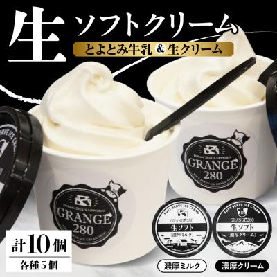 ふるさと納税 豊富町 生ソフトクリーム[濃厚クリーム/濃厚ミルク]計10個