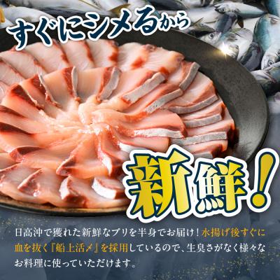 ふるさと納税 えりも町 えりも【マルデン特製】北海道日高産ぶり半身1kg以上【er002-076-a】 |  | 01