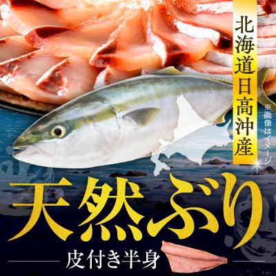 ふるさと納税 えりも町 えりも【マルデン特製】北海道日高産ぶり半身1kg以上【er002-076-a】 |  | 01