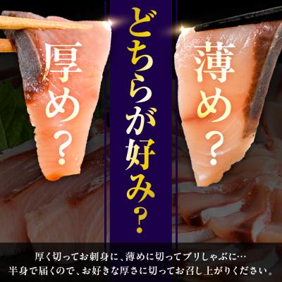 ふるさと納税 えりも町 えりも【マルデン特製】北海道日高産ぶり半身1kg以上【er002-076-a】 |  | 02