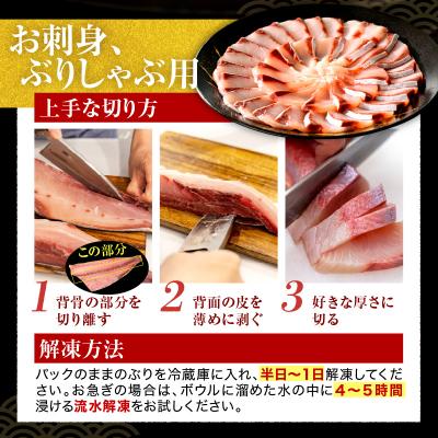 ふるさと納税 えりも町 えりも【マルデン特製】北海道日高産ぶり半身1kg以上【er002-076-a】 |  | 02