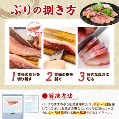 ふるさと納税 えりも町 えりも【マルデン特製】北海道日高産ぶり半身1kg以上【er002-076-a】 |  | 03