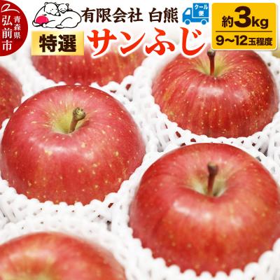 ふるさと納税 弘前市 りんご 特選[26年3月出荷]白熊 サンふじ 絆 約3kg|24_srk-040301e