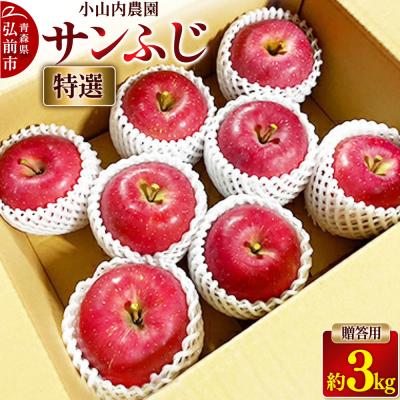 ふるさと納税 弘前市 りんご 小山内農園[特選]サンふじ 贈答用 約3kg|24_osn-020301