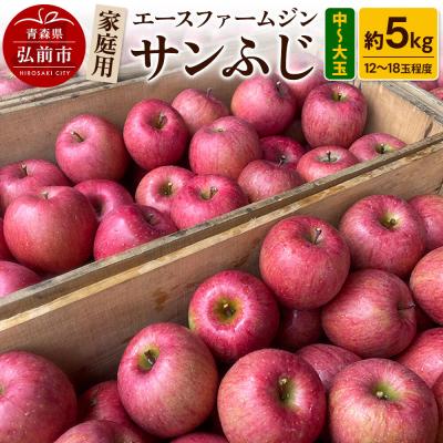 ふるさと納税 弘前市 りんご 家庭用 サンふじ 約5kg(中玉〜大玉12〜18玉程度)|24_ace-020501