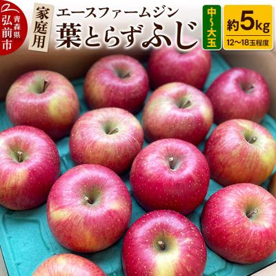 ふるさと納税 弘前市 りんご 家庭用 葉とらず ふじ 約5kg(中玉〜大玉12〜18玉程度)|24_ace-030501