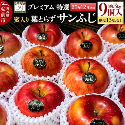 ふるさと納税 弘前市 りんご糖度13度以上 特選プレミアム 蜜入り 葉とらずサンふじ 約3kg|24_yuk-090301