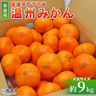 ふるさと納税 西予市 [先行受付]<愛媛県西予市産 温州みかん 大玉サイズ 家庭用 約9kg> 愛媛県産 西宇和 大玉