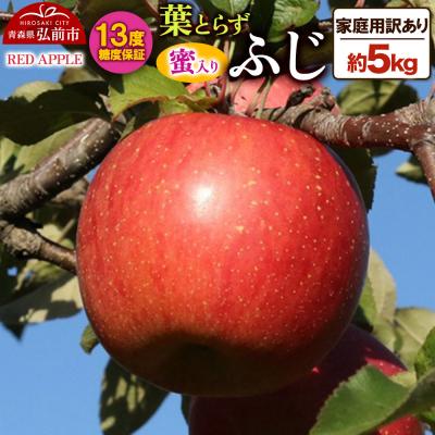 ふるさと納税 弘前市 りんご 蜜入り 13度糖度保証[訳あり]家庭用 葉とらずふじ 約5kg|24_rap-160501