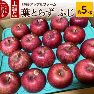 ふるさと納税 弘前市 りんご 上級品 葉とらず ふじ 約5kg|24_saf-050501