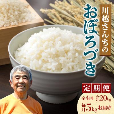 ふるさと納税 雨竜町 [定期便全4回]令和7年産 川越さんちの おぼろづき 5kg(5kg×1袋)毎月1回お届け