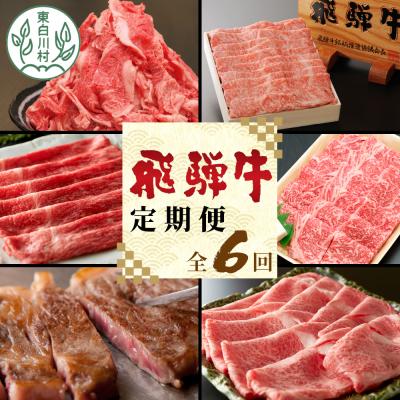 ふるさと納税 東白川村 飛騨牛 定期便 全6回 A5等級 すき焼き しゃぶしゃぶ ステーキ 焼肉 牛肉 牛 肉 養老ミート