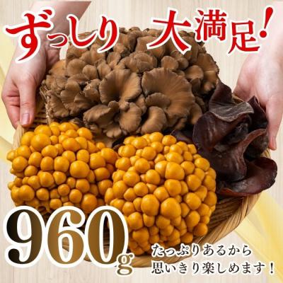 ふるさと納税 比布町 きのこ3種セット 計960g ジャンボまいたけ なめこ