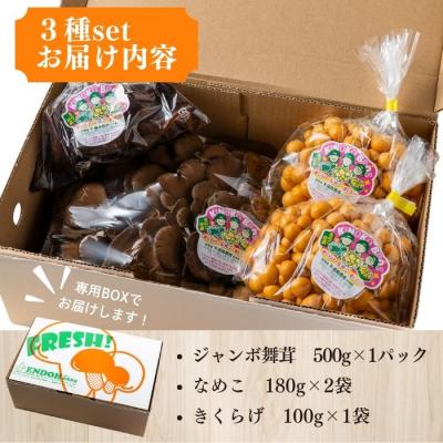 ふるさと納税 比布町 きのこ3種セット 計960g ジャンボまいたけ なめこ