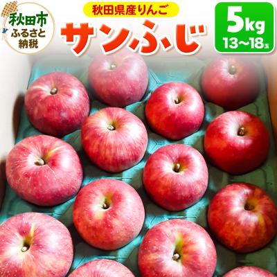 ふるさと納税 秋田市 サンふじ 5kg りんご リンゴ 林檎|15_azs-010501