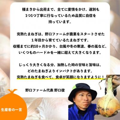 ふるさと納税 南あわじ市 【12回定期便】mama-yasai たまねぎ2kgの画像