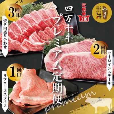 ふるさと納税 四万十市 [3回定期便]四万十牛 四万十産黒毛和牛を堪能 プレミアム定期便 R6