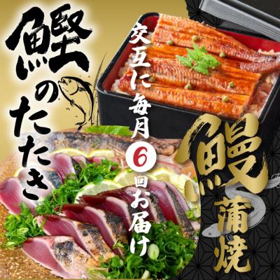 ふるさと納税 四万十市 [6回定期便]うなぎの蒲焼と鰹のタタキの月替わり定期便 R7