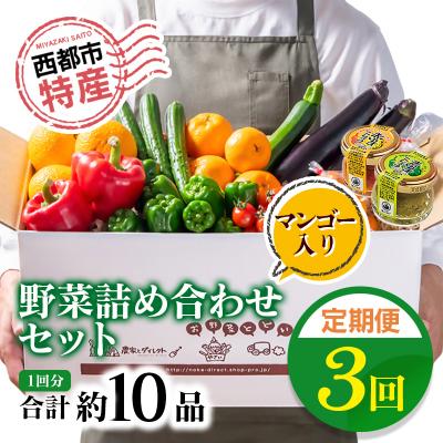 ふるさと納税 西都市 [先行受付・3回定期便]野菜・特産詰め合わせセット[2611]