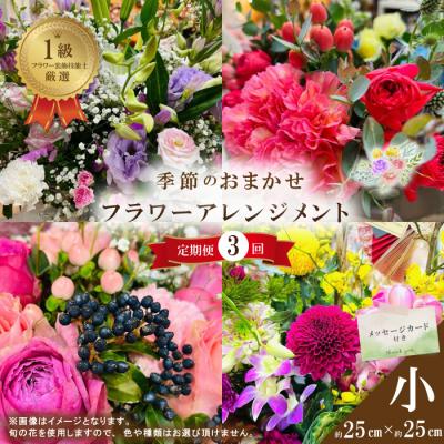 ふるさと納税 四万十市 [3回定期便]<1級フラワー装飾技能士が厳選>季節のおまかせフラワーアレンジメント[生花](小)R6