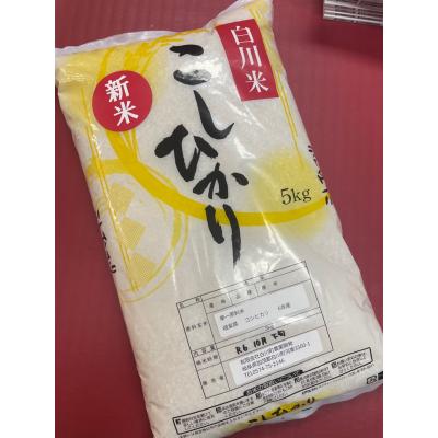 ふるさと納税 白川町 白川米コシヒカリ 5kg