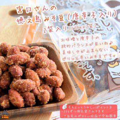 ふるさと納税 徳之島町 〜コク旨!ピリ辛!〜徳之島のみそ豆唐辛子入り(2袋)[ポストイン配送]