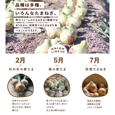 ふるさと納税 南あわじ市 【全3回定期便】淡路島たまねぎ5kg 旬の贅沢セット!【2・5・7月発送】の画像
