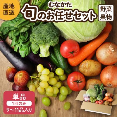 ふるさと納税 宗像市 [9〜11品]むなかた旬のお任せ セット(野菜・フルーツ)[JAほたるの里]