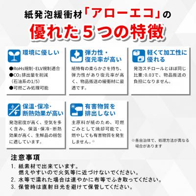 ふるさと納税 東白川村 アローエコマットレス1 防災用品 防寒グッズ 断熱 使い捨て 防災 防災マット  キャンプ 極厚 |  | 01