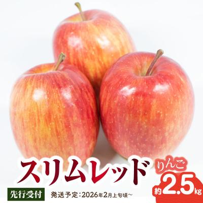 ふるさと納税 大江町 [先行受付]スリムレッドりんご 約2.5kg[2026年2月上旬頃〜発送予定] 015-069