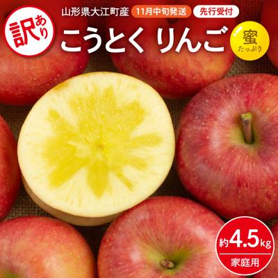 ふるさと納税 大江町 [先行受付]訳ありこうとくりんご約4.5kg [2026年11月中旬頃〜発送予定] 028-025