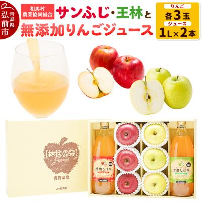 ふるさと納税 弘前市 りんご(サンふじ ・ 王林)と無添加りんごジュース詰め合わせ|24_snk-020101