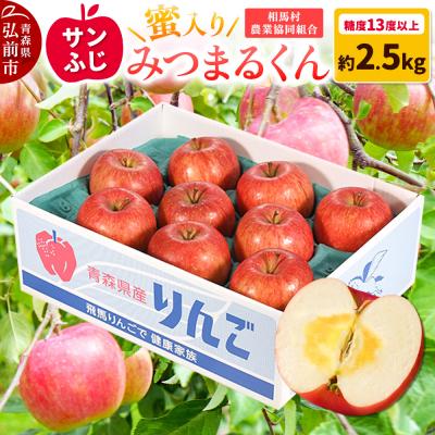 ふるさと納税 弘前市 りんご 蜜入り サンふじ(みつまるくん)約 2.5kg 糖度13度以上|24_snk-040201