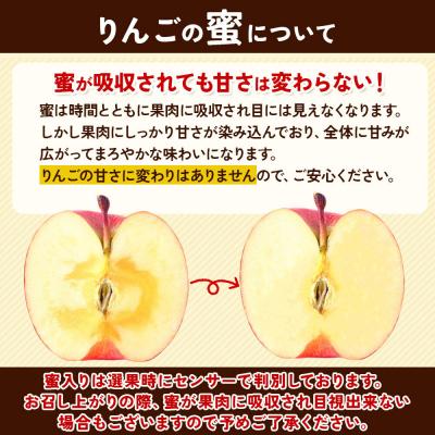 ふるさと納税 弘前市 りんご 蜜入り サンふじ(みつまるくん)約 2.5kg 糖度13度以上|24_snk-040201 |  | 03
