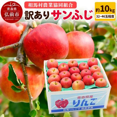 ふるさと納税 弘前市 りんご[訳あり]サンふじ 約10kg(32〜46玉程度)|24_snk-071001