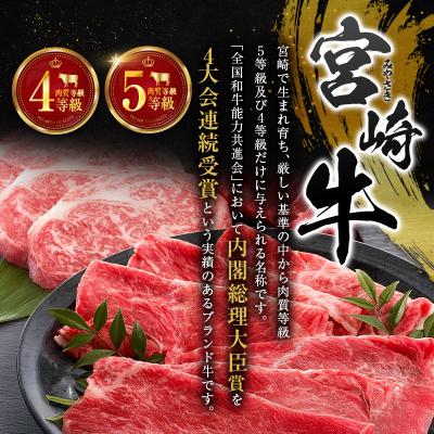 ふるさと納税 宮崎県 宮崎牛 ビーフジャーキー 10袋 (30g×10袋) おつまみ 宮崎県産 |  | 03