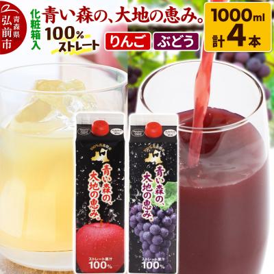 ふるさと納税 弘前市 ストレートジュース 詰め合わせセット 1000ml×各2本 化粧箱入り|24_bny-050101