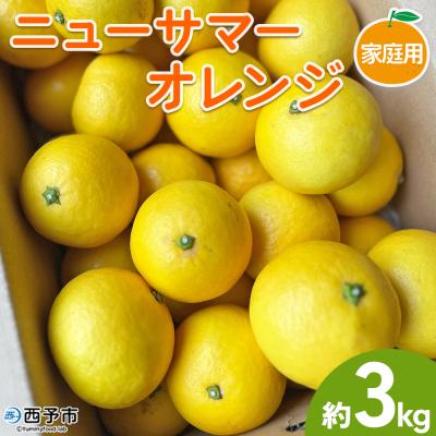ふるさと納税 西予市 [柑橘園 柴田]ニューサマーオレンジ 家庭用 3kg