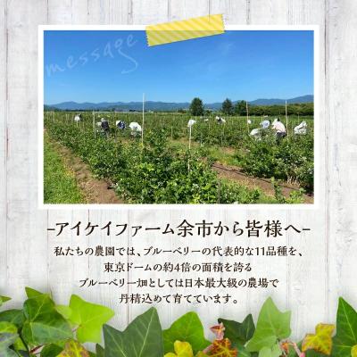 ふるさと納税 余市町 【2026年11月以降発送】冷凍ブルーベリー 500g×2袋(チャック付き袋)_Y111-0007 |  | 01