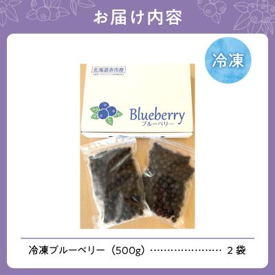 ふるさと納税 余市町 【2026年11月以降発送】冷凍ブルーベリー 500g×2袋(チャック付き袋)_Y111-0007 |  | 02