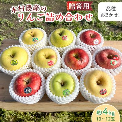 ふるさと納税 つがる市 木村農産の贈答りんご約4kg (9玉から12玉) [0909]