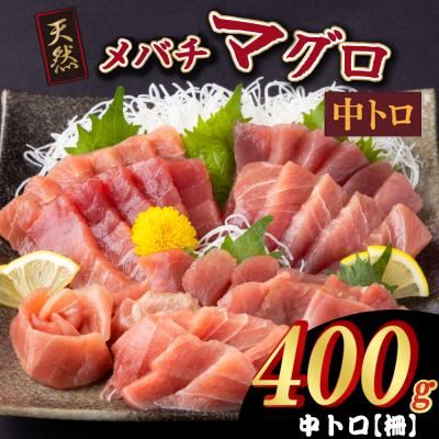 ふるさと納税 室戸市 天然メバチマグロ 【 中トロ 】400g(柵) | 