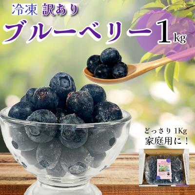 ふるさと納税 小松島市 冷凍 ブルーベリー 約 1kg 訳あり 四国 徳島 小松島 産地直送
