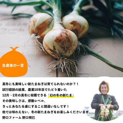 ふるさと納税 南あわじ市 【全6回・2ヶ月に1回定期便】mama-yasai たまねぎ2kgの画像