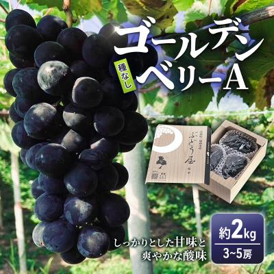 ふるさと納税 加西市 ゴールデンベリーA 約2kg 3〜5房 [2026年産 予約受付] ぶどう[No5698-1636]