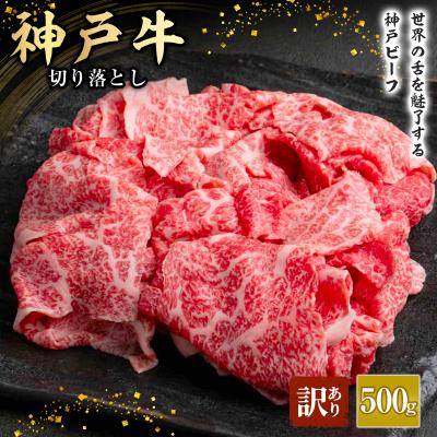 ふるさと納税 加西市 神戸牛 訳あり 切り落とし 500g A4ランク以上! 神戸ビーフ[No5698-1749]