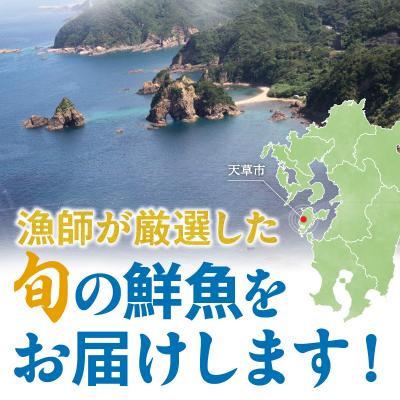 ふるさと納税 天草市 食べ比べ10種類!天然鮮魚の刺身&おつまみセット_S059-023_1