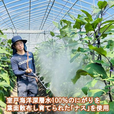 ふるさと納税 室戸市 揚げナス 600g【乱切り】海洋深層水仕込みのナス使用 |  | 03